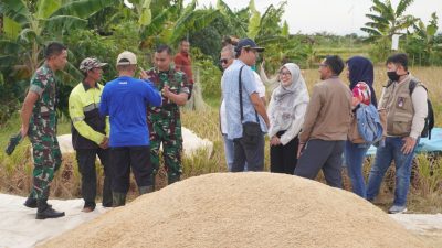 Dandim 0508/Depok dan Kepala Cabang Bulog Tinjau Panen Padi di Kampung Cimpaeun
