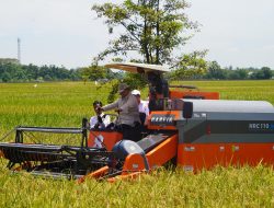 Kasad Hadiri Panen Raya oleh Presiden, Bentuk Komitmen Dukung Swasembada Pangan