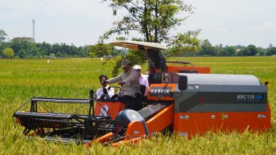 Kasad Hadiri Panen Raya oleh Presiden, Bentuk Komitmen Dukung Swasembada Pangan