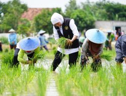 Jawa Timur Bukan Hanya Bertahan, Tapi Memimpin Kedaulatan Pangan