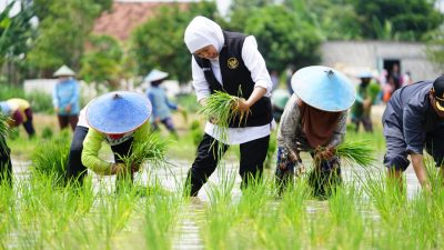 Jawa Timur Bukan Hanya Bertahan, Tapi Memimpin Kedaulatan Pangan