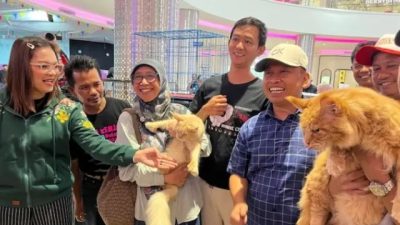 Happy Catz Show, Kata Walikota Depok Cat Lovers Sebagai Magnet Kebersamaan