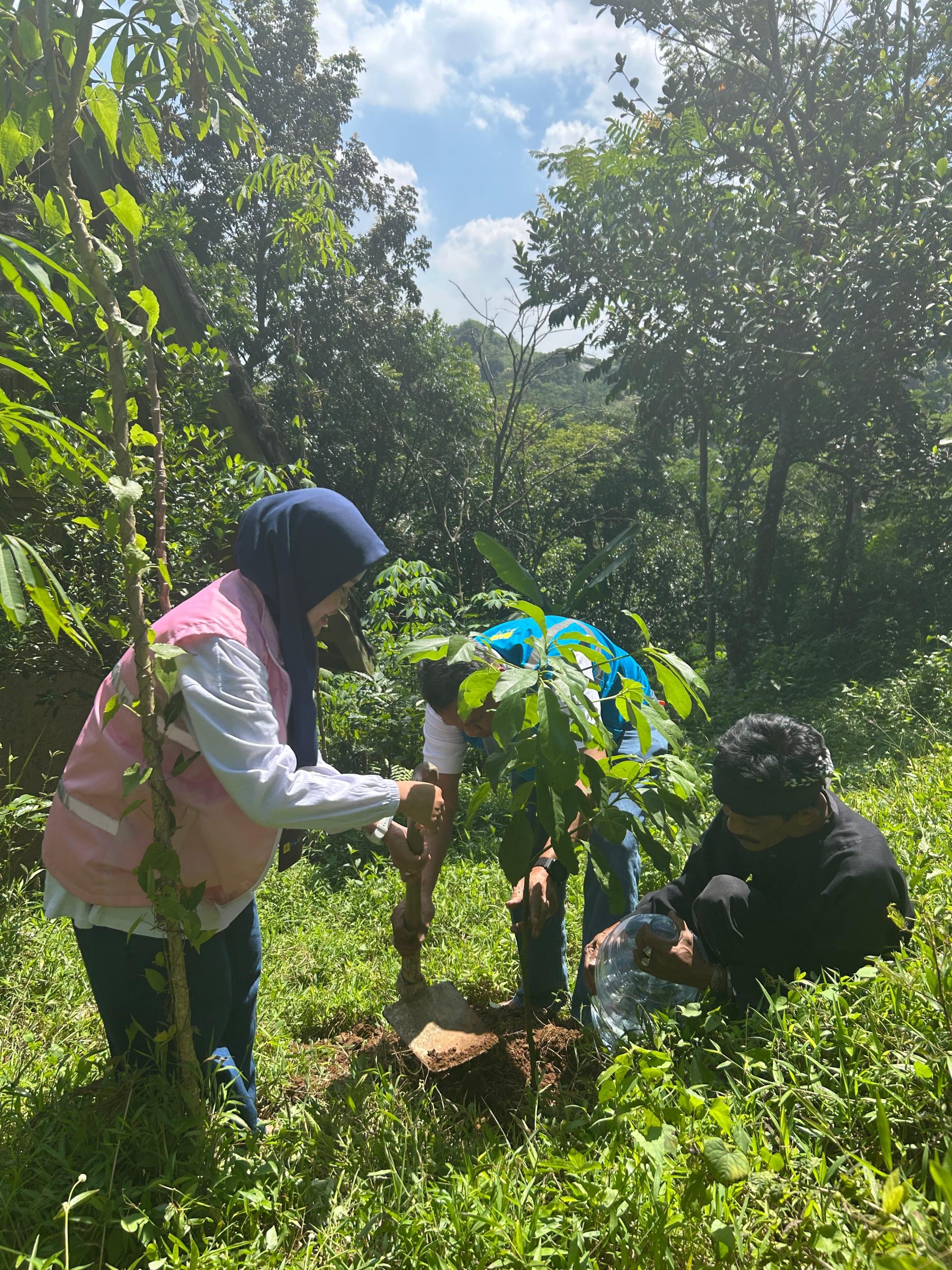 PLN UP2B Jabar Bersama Srikandi PLN Tanam Pohon di Desa Cireundeu: Investasi Hijau untuk Peringati Hari Lingkungan Hidup Sedunia
