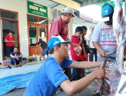 Warga Ketapang IV B Antusias Ikuti Penyembelihan Hewan Kurban di Musholla Nurul Iman