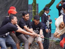 Berbagi Keberkahan Idul Adha 1446 H, PLN UIT JBT Salurkan 291 Kg Daging Hewan Kurban untuk Sesama