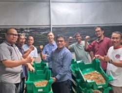 Hanggar Maggot Kukusan Perkuat Gerakan Ekonomi Mandiri Kelola Sampah