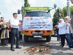 Sebanyak 1.080 Ekor Sapi Perah dari Australia Didatangkan di Jatim, Gubernur Khofifah Optimistis Tingkatkan Produksi Susu