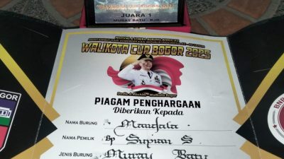 Burung Berkicau Milik Walikota Depok Berhasil Juara pertama di Ajang Walikota Cup Bogor 2025