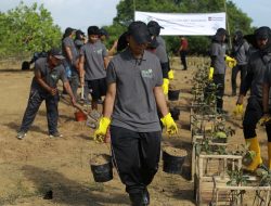 PLN UP2B Bali Tanam 6.000 Mangrove di Nusa Pudut