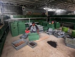 Lurah Beji Timur: RW 02 Dijadikan Kampung Wisata Edukatif dan Penghijauan Tanam Pohon Produktif