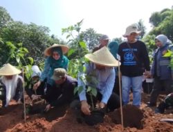Walikota Depok Sama Cing Ikah, Serukan Gerakan Depok Tanam Cabai Serentak