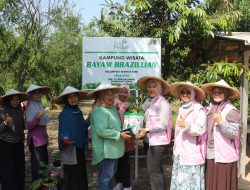 PLN Hadir untuk Rakyat melalui Modernisasi Pertanian Depok Melalui Program Electrifying Agriculture