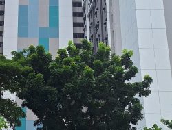 Proyek Rusunawa Daan Mogot Disorot, Sejumlah Teralis Jendela Belum Terpasang