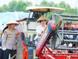 Panen Raya Jagung Serentak, Polri Tegaskan Komitmen Ketahanan Pangan Nasional