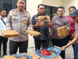 Polisi Sita 30 Kilogram Ganja dari Kontrakan di Bekasi, Diduga Terkait Jaringan Sumatera