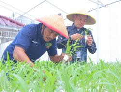 Lapas Kelas I Tangerang Kembangkan Kangkung Hidroponik, Bekali Warga Binaan Keterampilan Pertanian