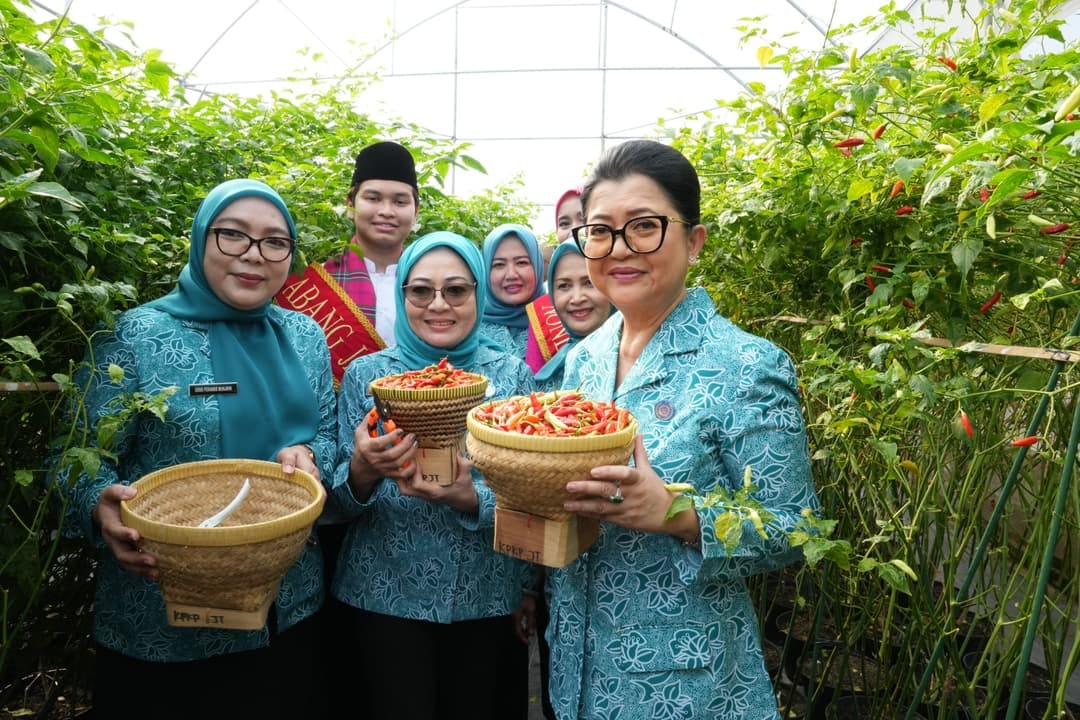 DKI Genjot Ketahanan Pangan, Panen Serentak Digelar di 807 Titik