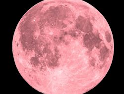 April 2026 Dihiasi Fenomena Langit Spektakuler, dari Pink Moon hingga Hujan Meteor Lyrids