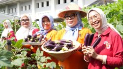 Panen Kedua Melon Urban Farming, Pemkot Jaktim Dorong Ketahanan Pangan di Tengah Ancaman El Nino
