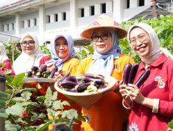 Panen Kedua Melon Urban Farming, Pemkot Jaktim Dorong Ketahanan Pangan di Tengah Ancaman El Nino