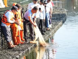 Munjirin Pimpin Penangkapan Ikan Sapu-Sapu di Waduk Kaja, 320 Kg Diamankan