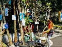 Walikota Minta Karangan Bunga Ucapan HUT Depok Diganti Pohon