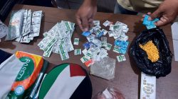 Penjual Obat Keras Berkedok Toko Ikan Cupang di Gambir Diciduk Polisi