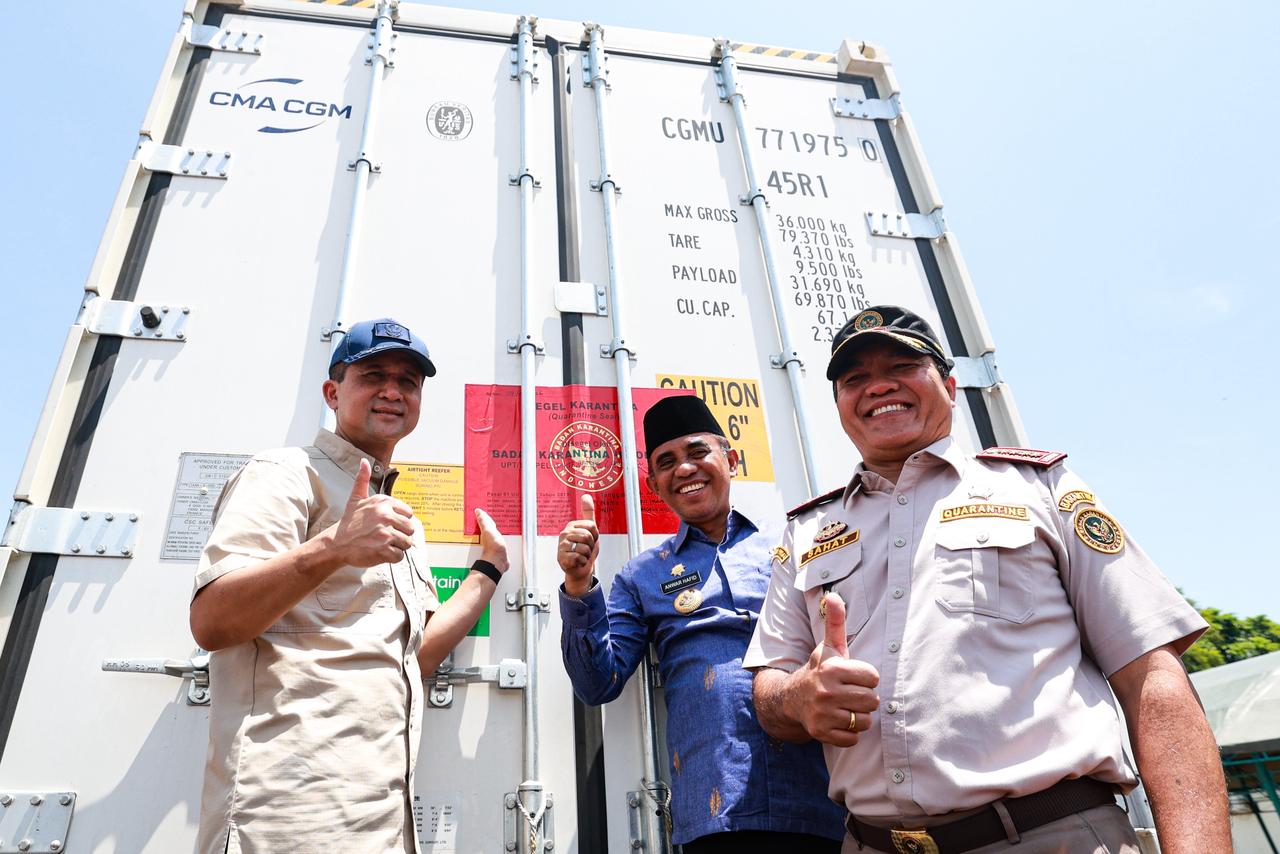 Ekspor 459 Ton Durian Parigi Moutong Tembus Pasar China, Nilai Capai Rp42,5 Miliar