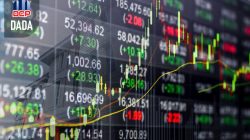 Laba Melejit 216,70%, DADA Tebar Dividen Rp2 Miliar