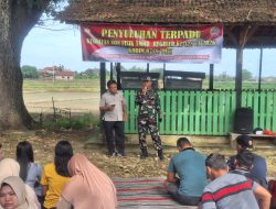 TMMD Kodim Pati Dorong Produktivitas Petani Lewat Edukasi Pertanian