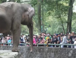 Ragunan Diserbu Pengunjung  saat Long Weekend Paskah, Warga Manfaatkan Libur dan Gajian untuk Piknik Keluarga