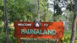Serasa di Amazon Tanpa ke Luar Negeri! Wisata Sungai di Ancol Ini Bikin Pengunjung Ketagihan