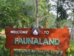 Serasa di Amazon Tanpa ke Luar Negeri! Wisata Sungai di Ancol Ini Bikin Pengunjung Ketagihan
