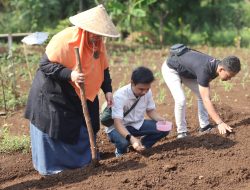 Kolaborasi Endah Purwanti dan Pemuda Tani Kota Bogor Salurkan Benih Jagung di Tanah Baru