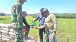 Ngopi di Tengah Sawah, Satgas TMMD Reguler ke-128 dan Warga Desa Godo Pererat Kebersamaan