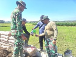 Ngopi di Tengah Sawah, Satgas TMMD Reguler ke-128 dan Warga Desa Godo Pererat Kebersamaan