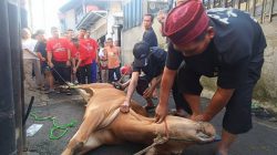 Iduladha 2026 di Mushola Al Mujahidin Bintara Bekasi Meriah, Warga Antusias Saksikan Pemotongan Hewan Kurban