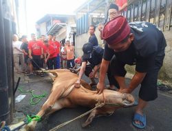 Iduladha 2026 di Mushola Al Mujahidin Bintara Bekasi Meriah, Warga Antusias Saksikan Pemotongan Hewan Kurban