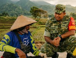 Di Tengah Sawah Desa Godo, Satgas TMMD dan Petani Rajut Kebersamaan Tanpa Sekat