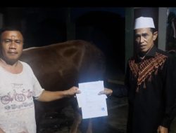 KH. Abubakar Madris Sempat Kaget Dapat Bantuan Sapi Kurban dari Presiden Prabowo