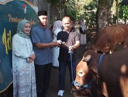Dandim 0508 Depok Dapat Bantuan Sapi Kurban Presiden Prabowo: Disalurkan Kepada Penerima Manfaat