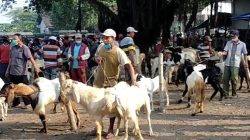 Transaksi Kurban Iduladha 2026 Diproyeksi Tembus Rp 26,8 Triliun, Jawa Masih Dominasi