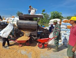 Satgas TMMD Bantu Penggilingan Jagung di Desa Godo, Pererat Kedekatan dengan Warga