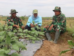 Komsos di Sawah, TMMD Pererat Kedekatan TNI dan Petani di Desa Godo