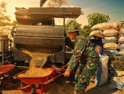 TMMD Kodim Pati Perkuat Ketahanan Pangan Lewat Pendampingan Petani Jagung