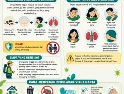 Waspada Virus Hanta, Ancaman dari Tikus yang Bisa Serang Paru dan Ginjal