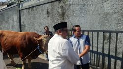 Sapi Kurban 1 Ton dari Rano Karno Jadi Simbol Apresiasi Inovasi Warga Gandaria