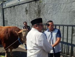 Sapi Kurban 1 Ton dari Rano Karno Jadi Simbol Apresiasi Inovasi Warga Gandaria