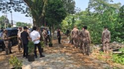 Satpol PP Depok Bongkar Bangli & Reklame Bodong, Penertiban di Simpangan Depok dan Sekitarnya