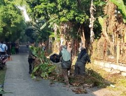 Kerja Bakti Opsih Kelurahan Kemirimuka: Sinergi Bersama Wujudkan Lingkungan Sehat dan Asri